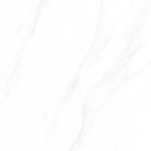 81C01 维多利亚珍珠白